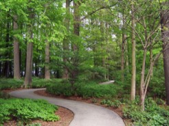path to counselling